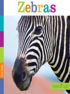 cover image of Zebras
